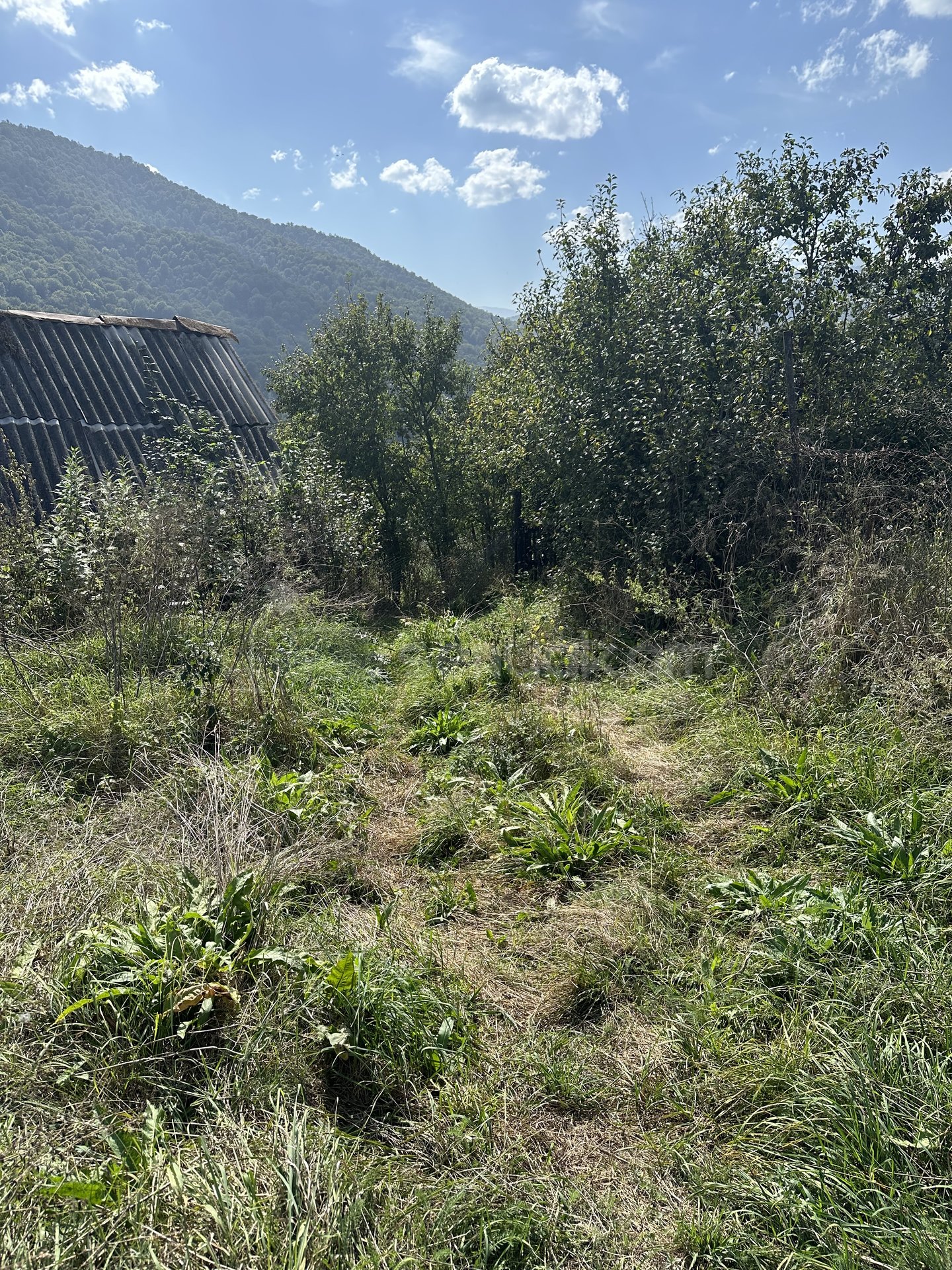 Բնակելի Նշանակության Հողատարածք, 2430քմ, Խմելու Ջրով, Էլեկտրականությամբ, Պարսպապատ