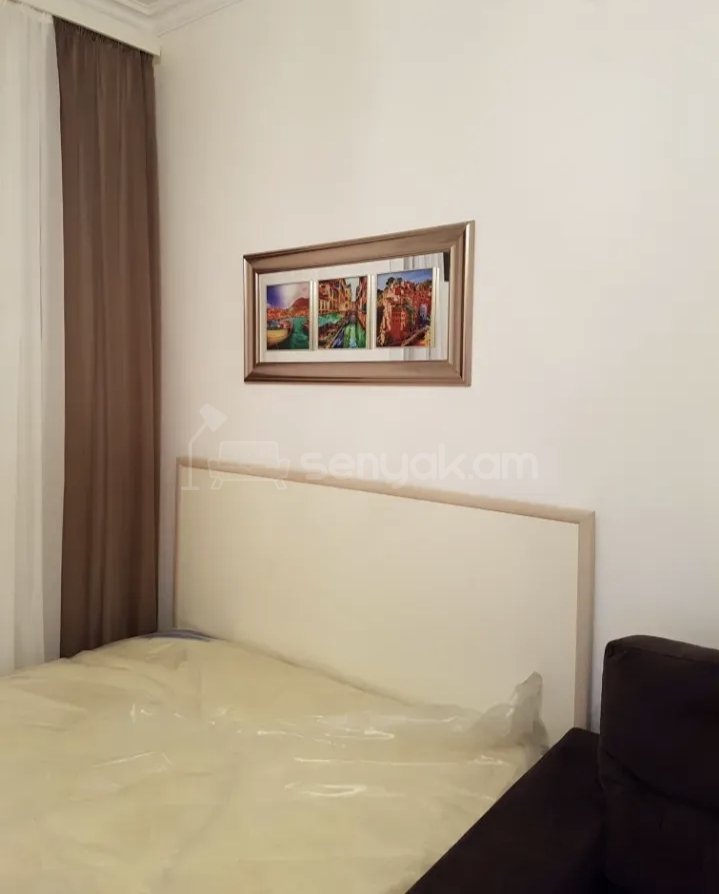 1 Սենյականոց Բնակարան Քարե Շենքում, 42քմ, 3/5 հարկ, Նորմալ Վիճակում, Կահավորված