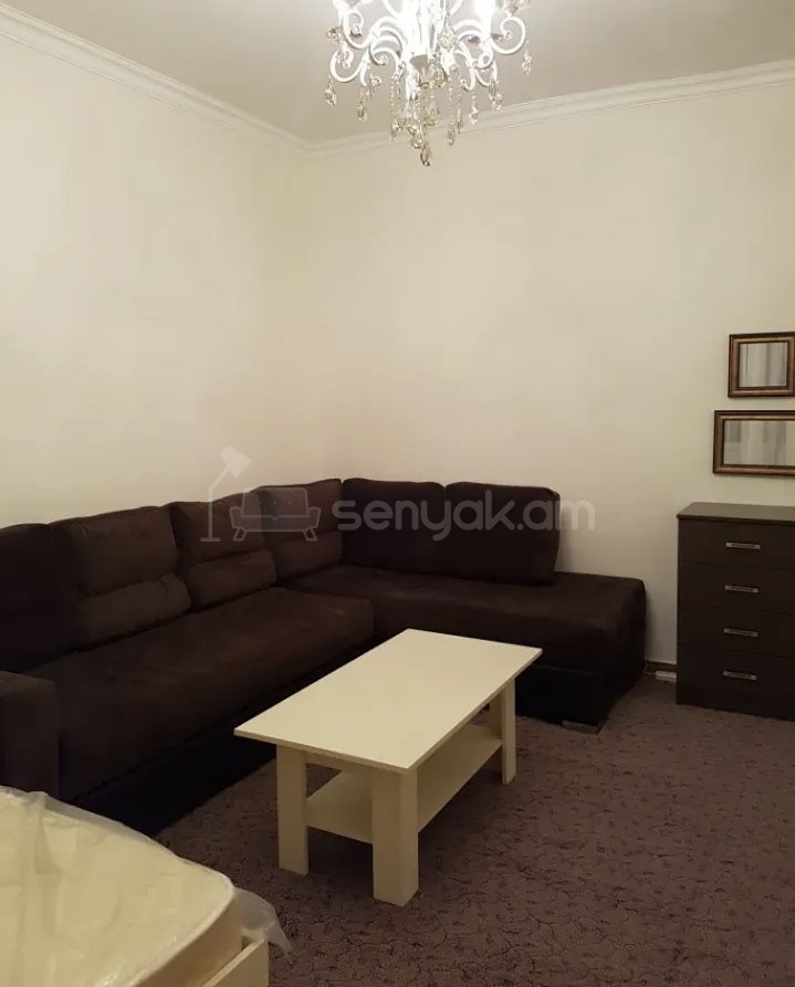 1 Սենյականոց Բնակարան Քարե Շենքում, 42քմ, 3/5 հարկ, Նորմալ Վիճակում, Կահավորված