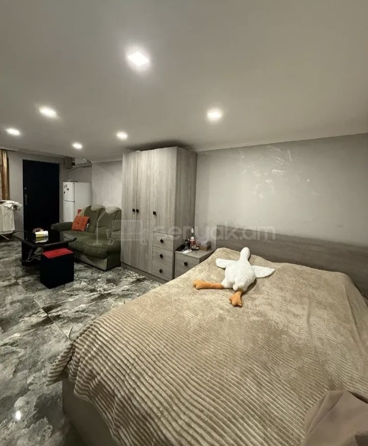 1 Սենյականոց Բնակարան Քարե Շենքում, 40քմ, 1/1 հարկ, Կապիտալ Վերանորոգված, Կահավորված