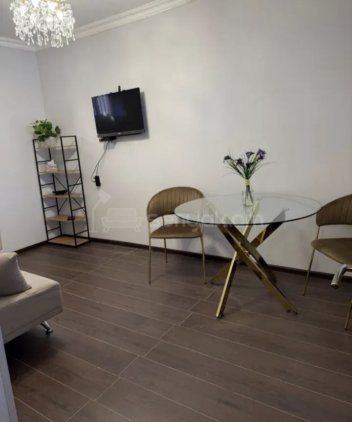 1 Սենյականոց Բնակարան Քարե Շենքում, 45քմ, 1/1 հարկ, Կապիտալ Վերանորոգված, Կահավորված