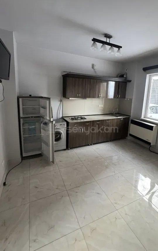 2 Սենյականոց Բնակարան Քարե Շենքում, 42քմ, 1/2 հարկ, Կապիտալ Վերանորոգված, Կահավորված