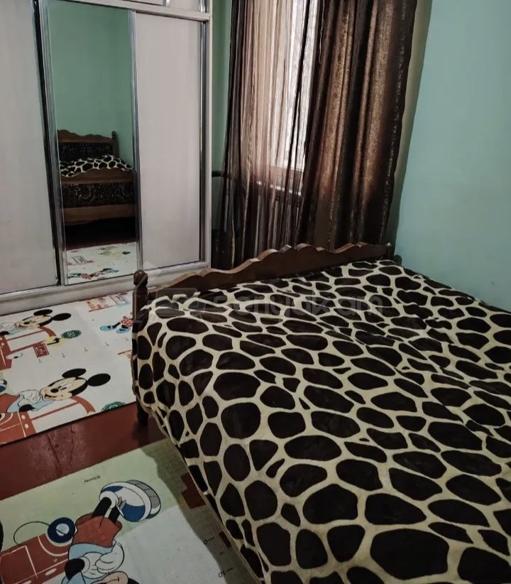 2 Սենյականոց Բնակարան Քարե Շենքում, 56քմ, 1/1 հարկ, Նորմալ Վիճակում, Կահավորված