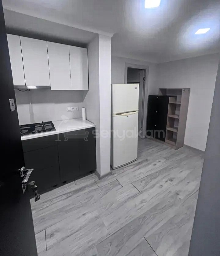 2 Սենյականոց Բնակարան Քարե Շենքում, 54քմ, 1/1 հարկ, Կապիտալ Վերանորոգված, Կահավորված