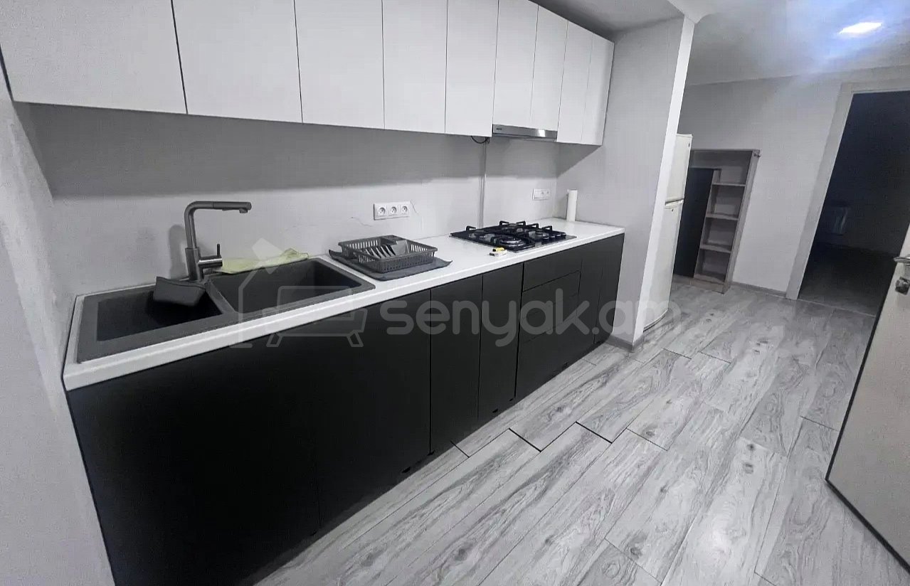 2 Սենյականոց Բնակարան Քարե Շենքում, 54քմ, 1/1 հարկ, Կապիտալ Վերանորոգված, Կահավորված