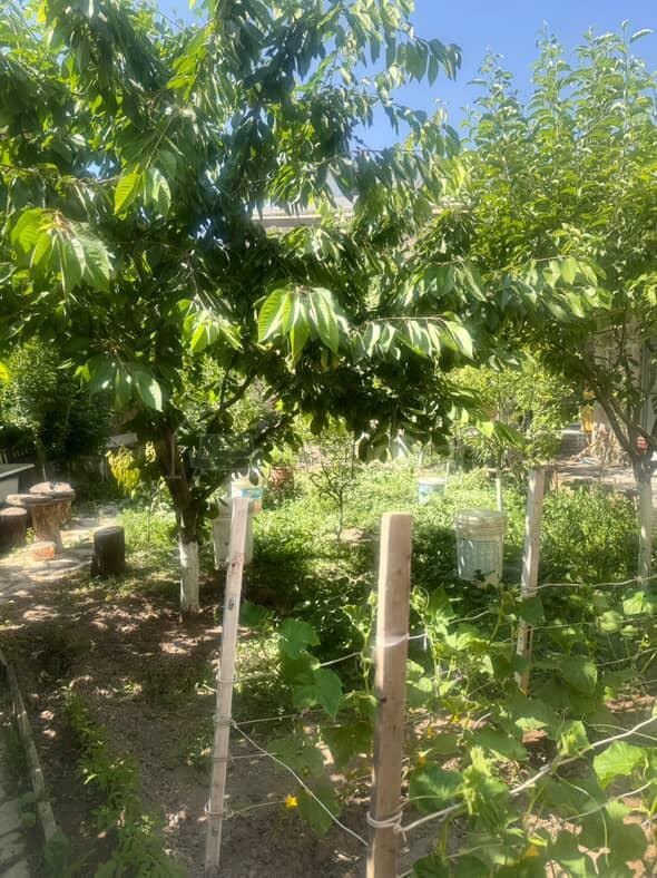 5 Սենյականոց Սեփական Տուն, 200քմ, Կոսմետիկ Վերանորոգված, Ավտոտնակով