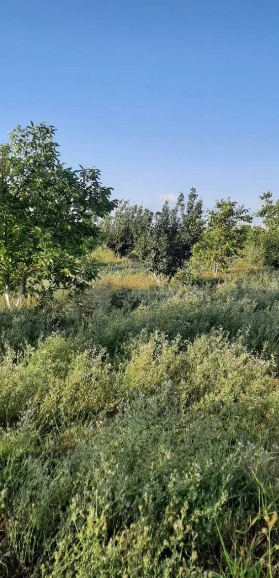 Հողամաս, 6000քմ, Ոռոգման Ջրով