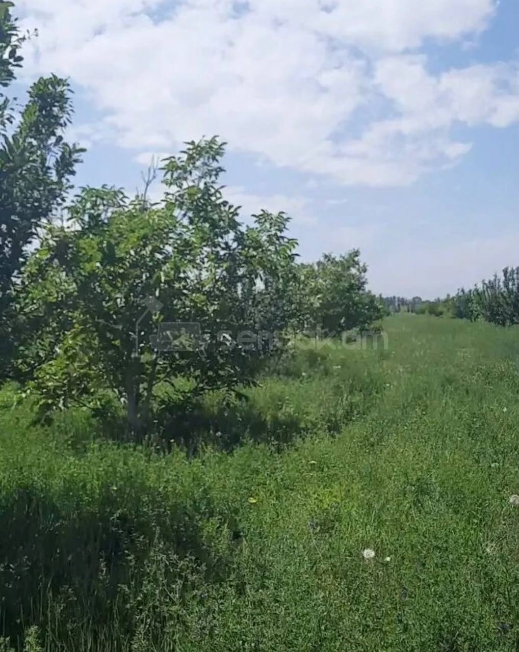 Հողամաս, 6000քմ, Ոռոգման Ջրով