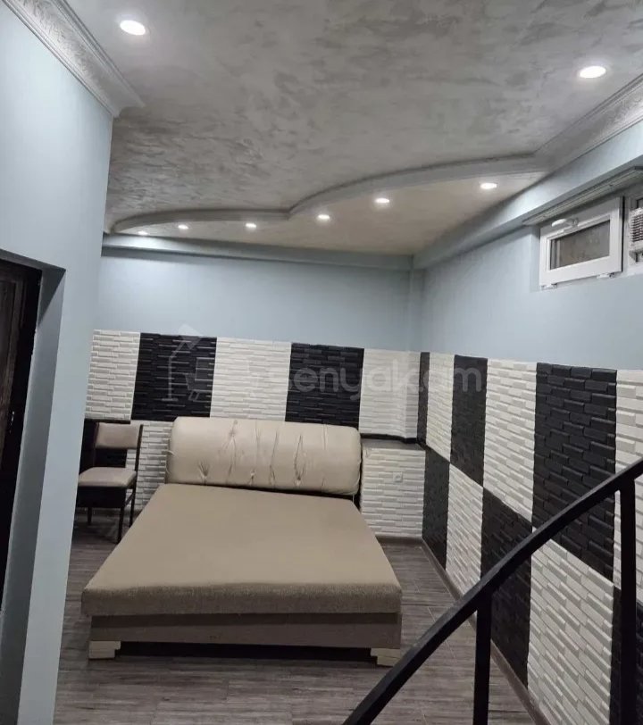 2 Սենյականոց Բնակարան Քարե Շենքում, 56քմ, 1/1 հարկ, Կապիտալ Վերանորոգված, Կահավորված