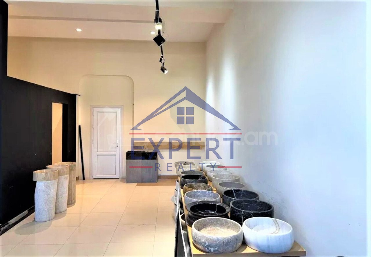 Օֆիսային Տարածք, 110քմ, Կապիտալ Վերանորոգված