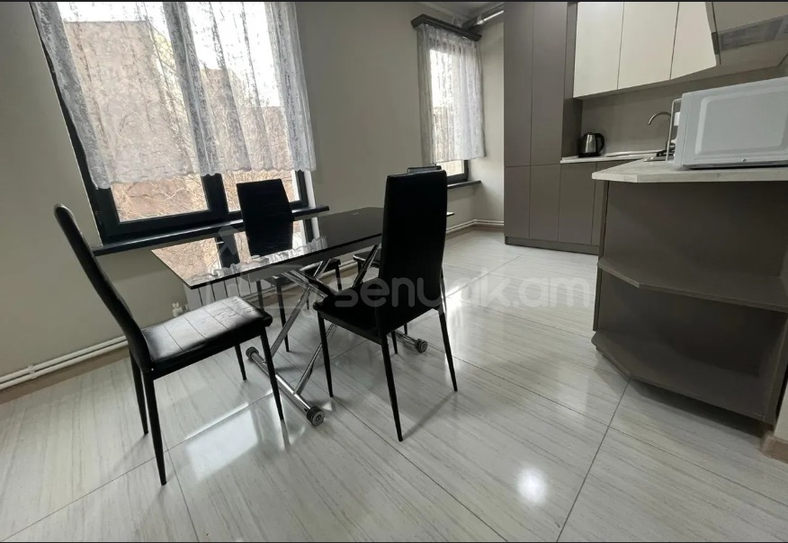 1 Սենյականոց Բնակարան Նորակառույց Քարե Շենքում, 56քմ, 2/4 հարկ, Կապիտալ Վերանորոգված, Կահավորված