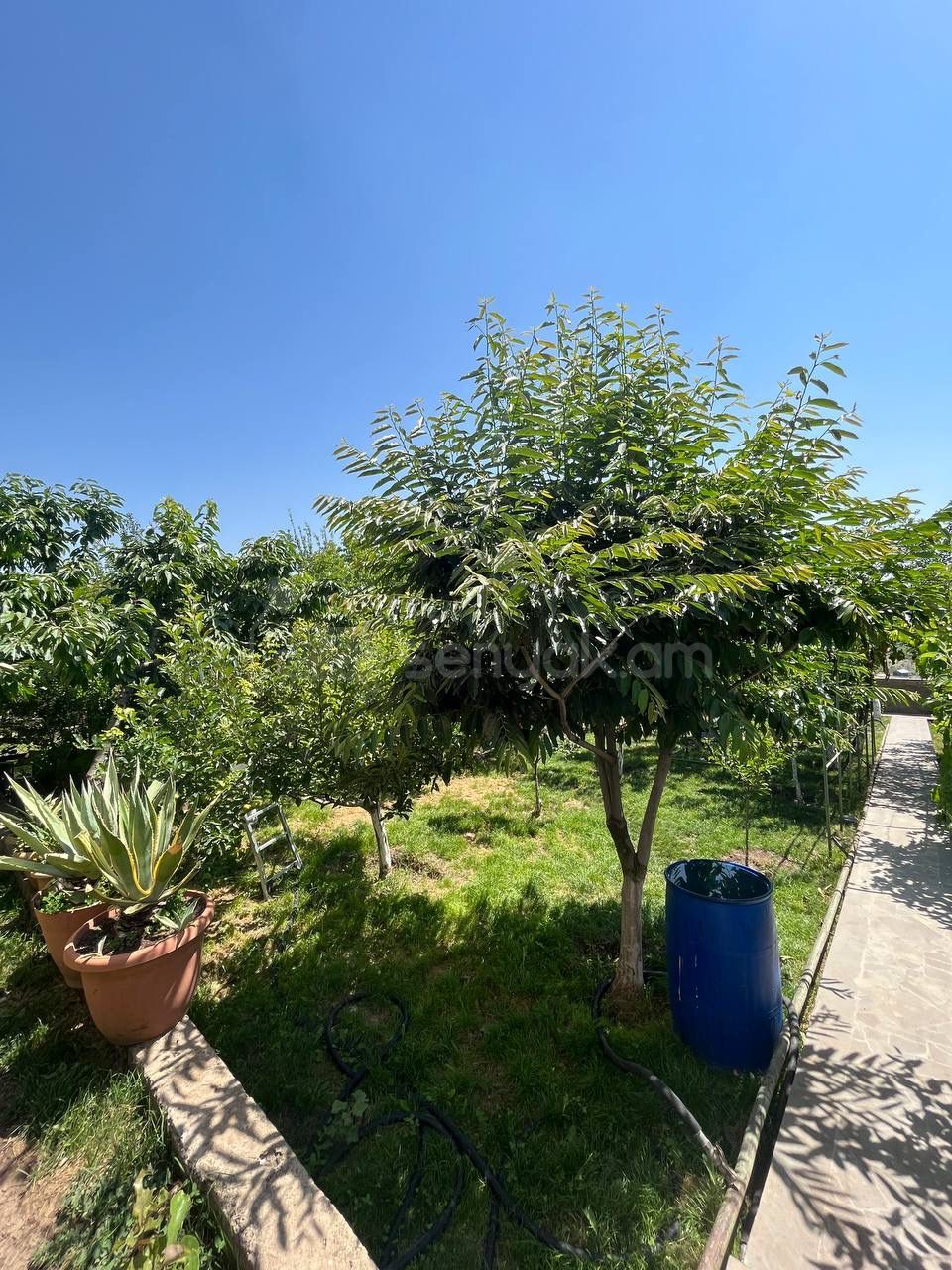 5 Սենյականոց Սեփական Տուն, 150քմ, Նորմալ Վիճակում, Ավտոտնակով