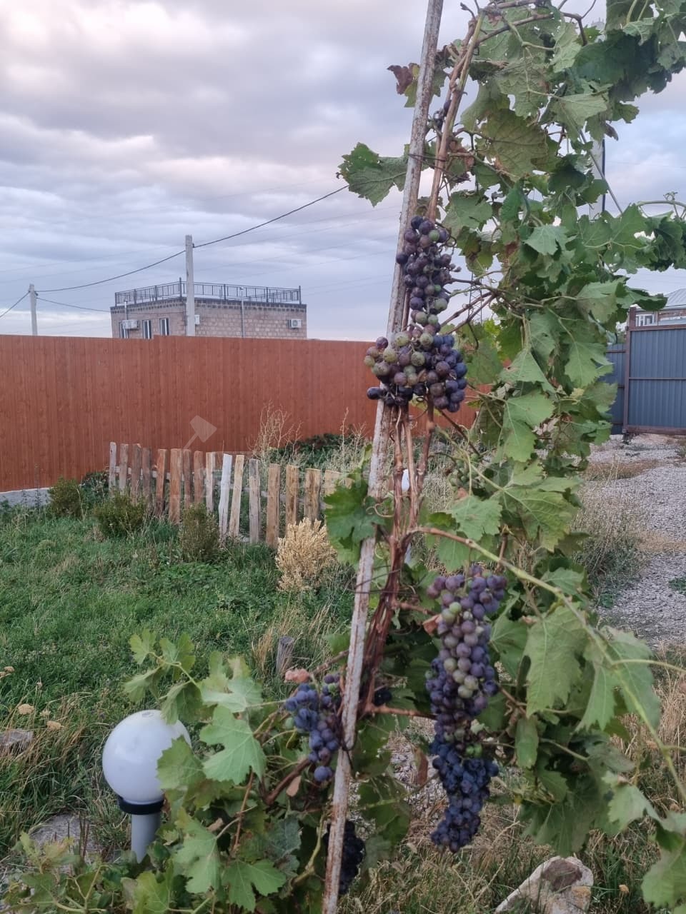 Բնակելի Նշանակության Հողատարածք, 525քմ, Էլեկտրականությամբ