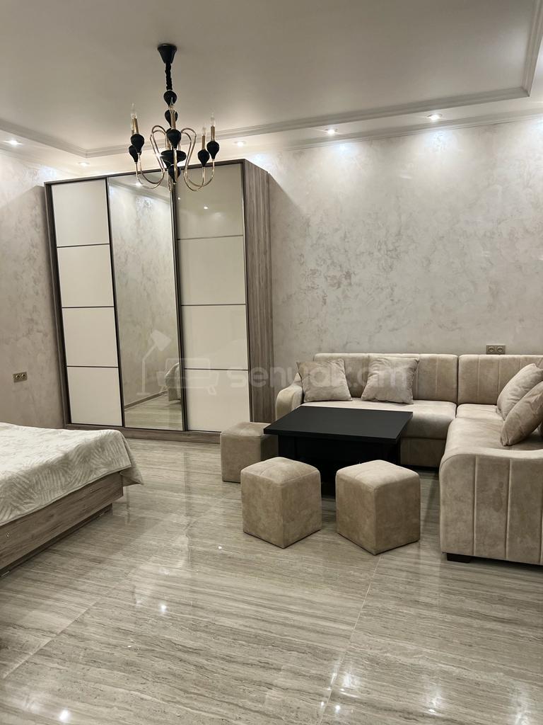 1 Սենյականոց Բնակարան, 40քմ, 2/5 հարկ, Դիզայներական Վերանորոգված