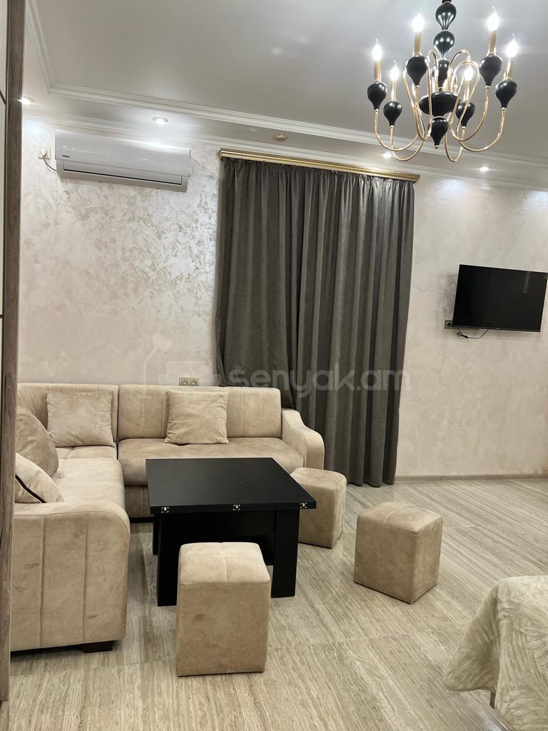 1 Սենյականոց Բնակարան, 40քմ, 2/5 հարկ, Դիզայներական Վերանորոգված