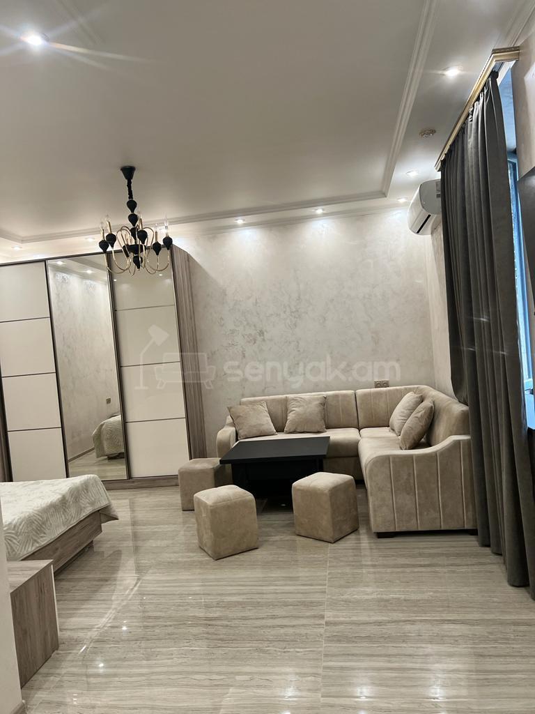 1 Սենյականոց Բնակարան, 40քմ, 2/5 հարկ, Դիզայներական Վերանորոգված