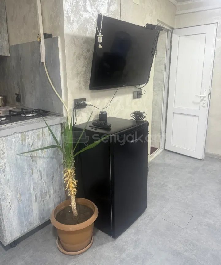 1 Սենյականոց Բնակարան Քարե Շենքում, 33քմ, 1/1 հարկ, Կապիտալ Վերանորոգված, Կահավորված