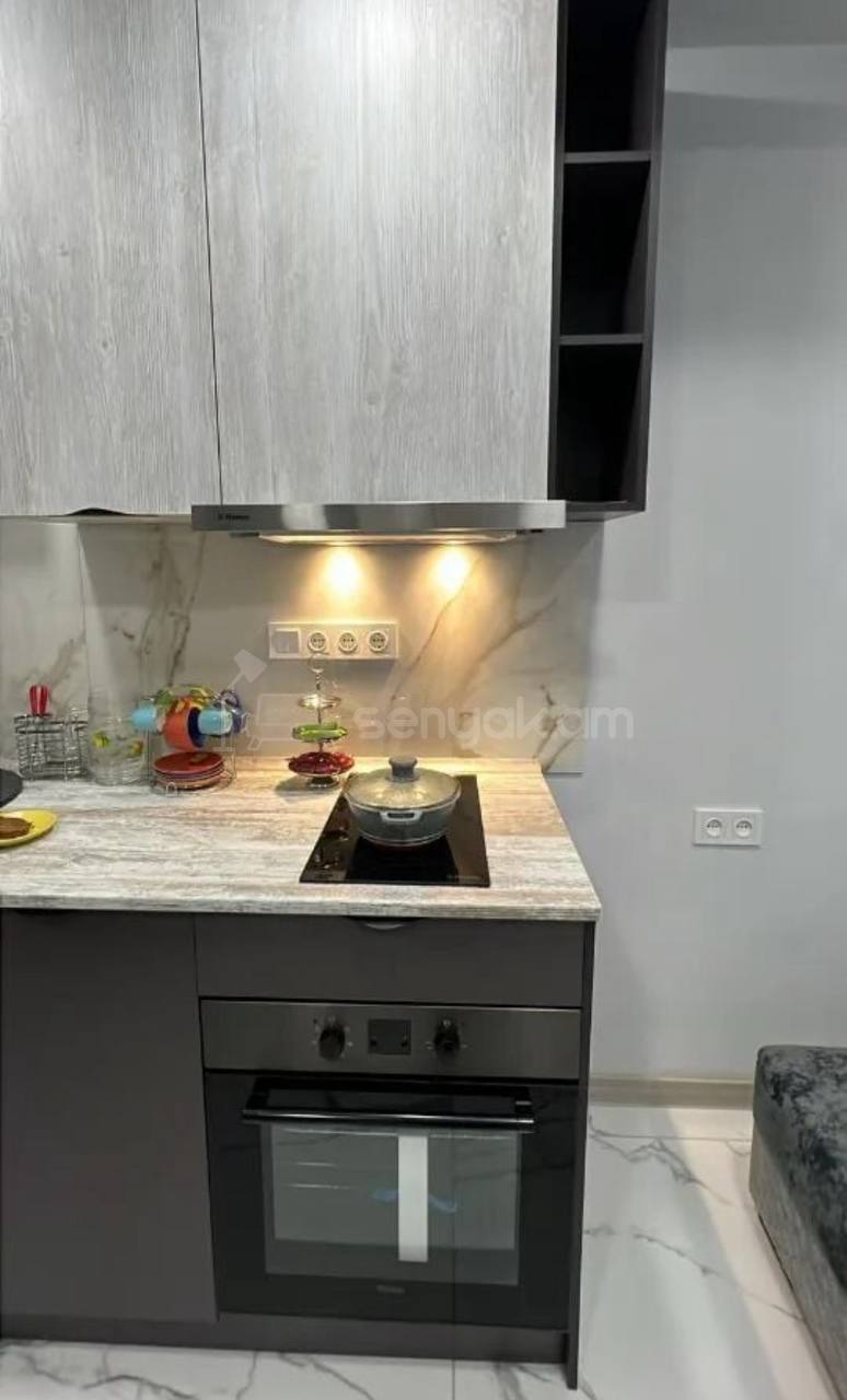 2 Սենյականոց Բնակարան, 43քմ, 4/10 հարկ, Կապիտալ Վերանորոգված, Կահավորված, Արևկող