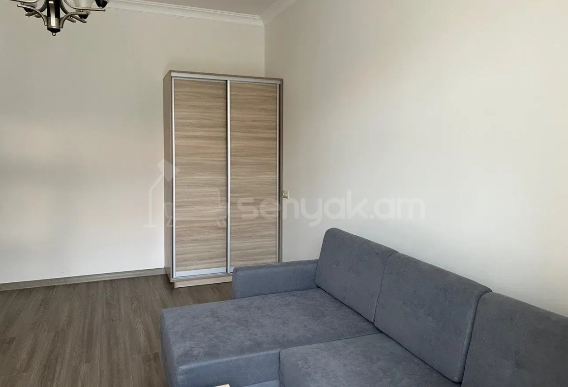 1 Սենյականոց Բնակարան Քարե Շենքում, 42քմ, 3/6 հարկ, Կապիտալ Վերանորոգված, Կահավորված