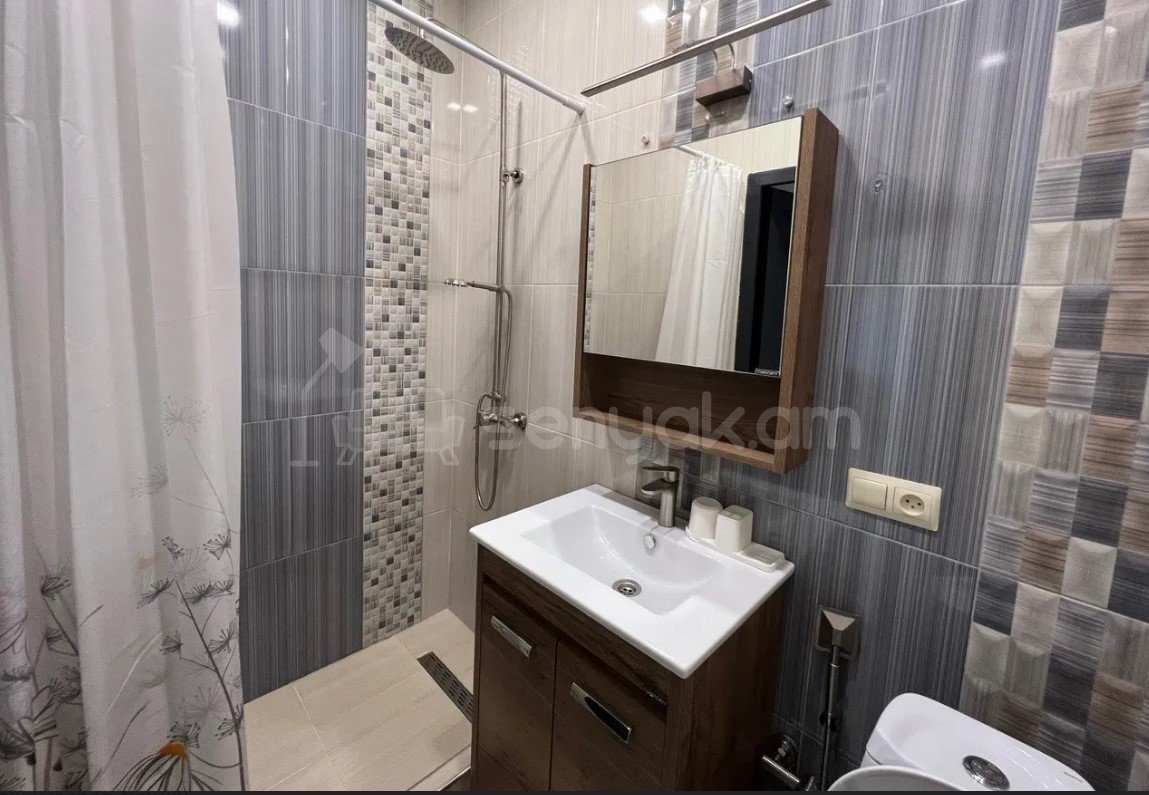 1 Սենյականոց Բնակարան Քարե Շենքում, 42քմ, 3/6 հարկ, Կապիտալ Վերանորոգված, Կահավորված