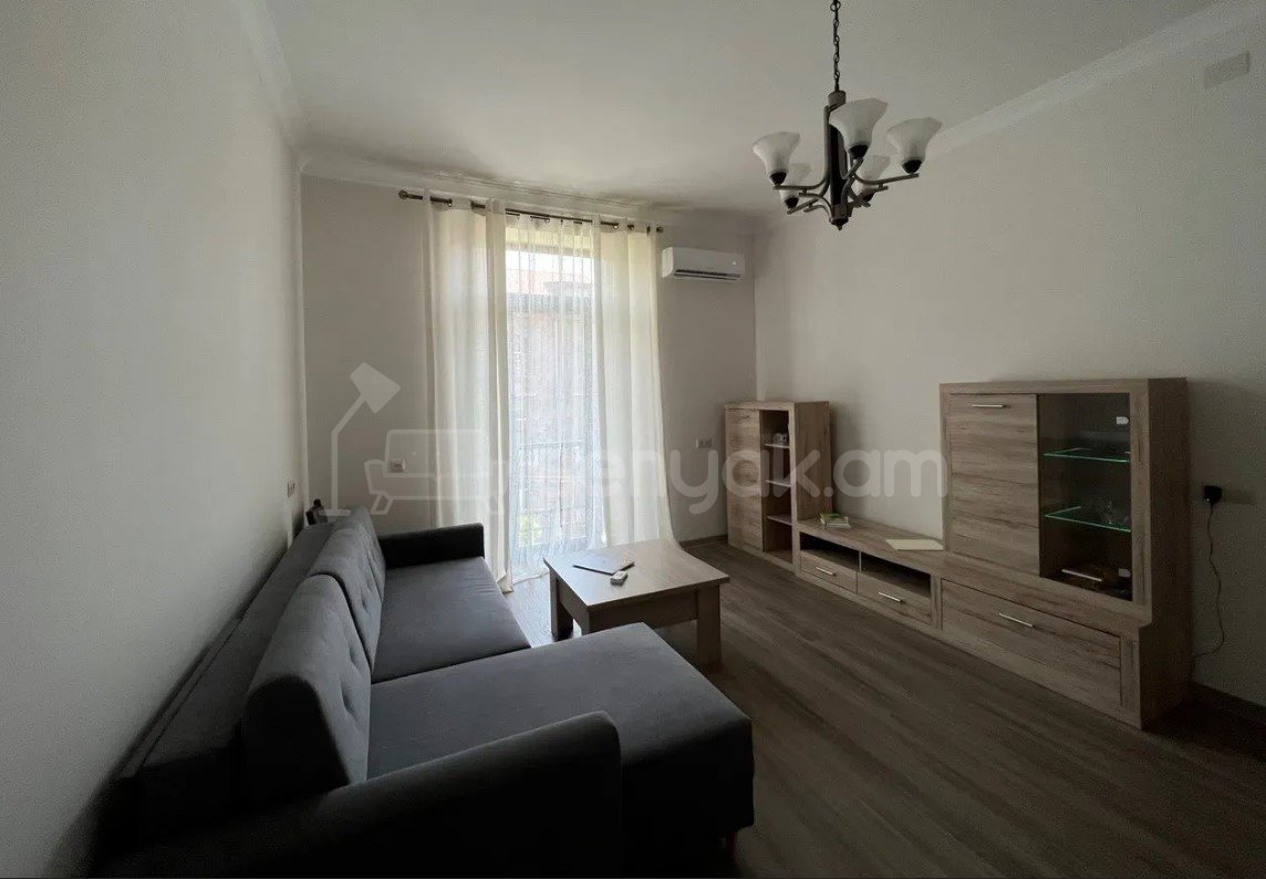 1 Սենյականոց Բնակարան Քարե Շենքում, 42քմ, 3/6 հարկ, Կապիտալ Վերանորոգված, Կահավորված