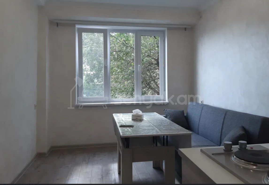 1 Սենյականոց Բնակարան Քարե Շենքում, 20քմ, 4/6 հարկ, Կապիտալ Վերանորոգված, Կահավորված