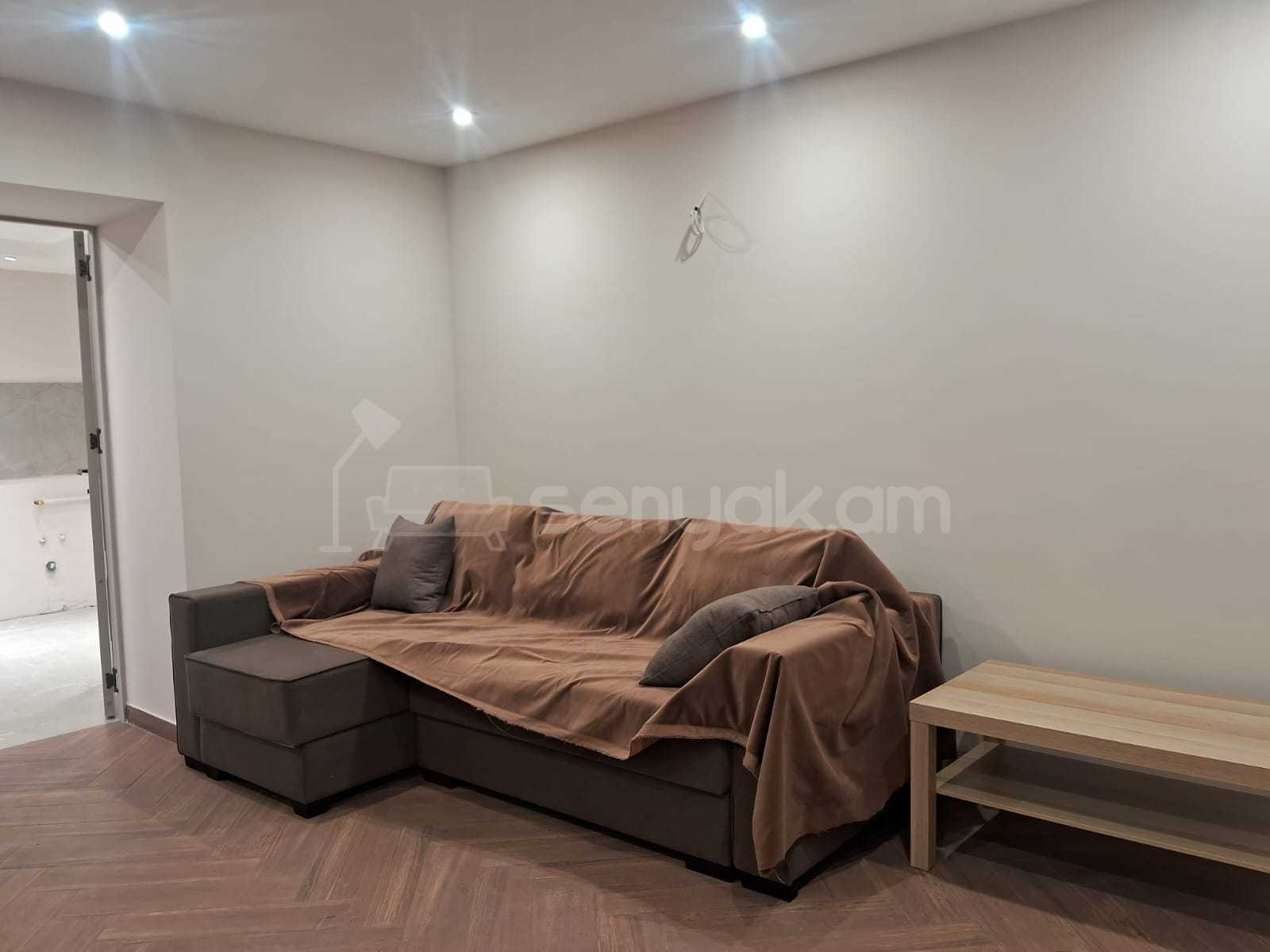 2 Սենյականոց Բնակարան Քարե Շենքում, 55քմ, 1/3 հարկ, Կապիտալ Վերանորոգված, Կահավորված