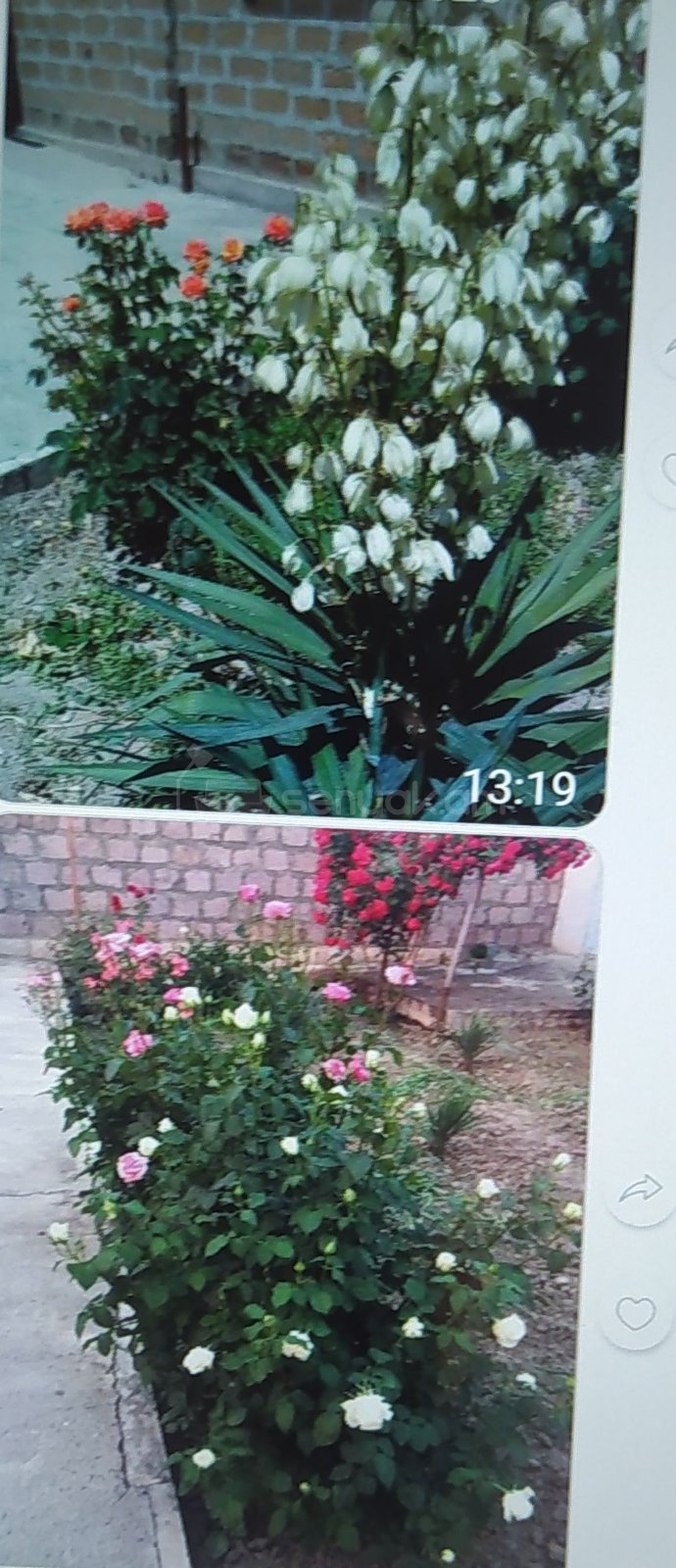 6 Սենյականոց Սեփական Տուն, 330քմ, Նորմալ Վիճակում