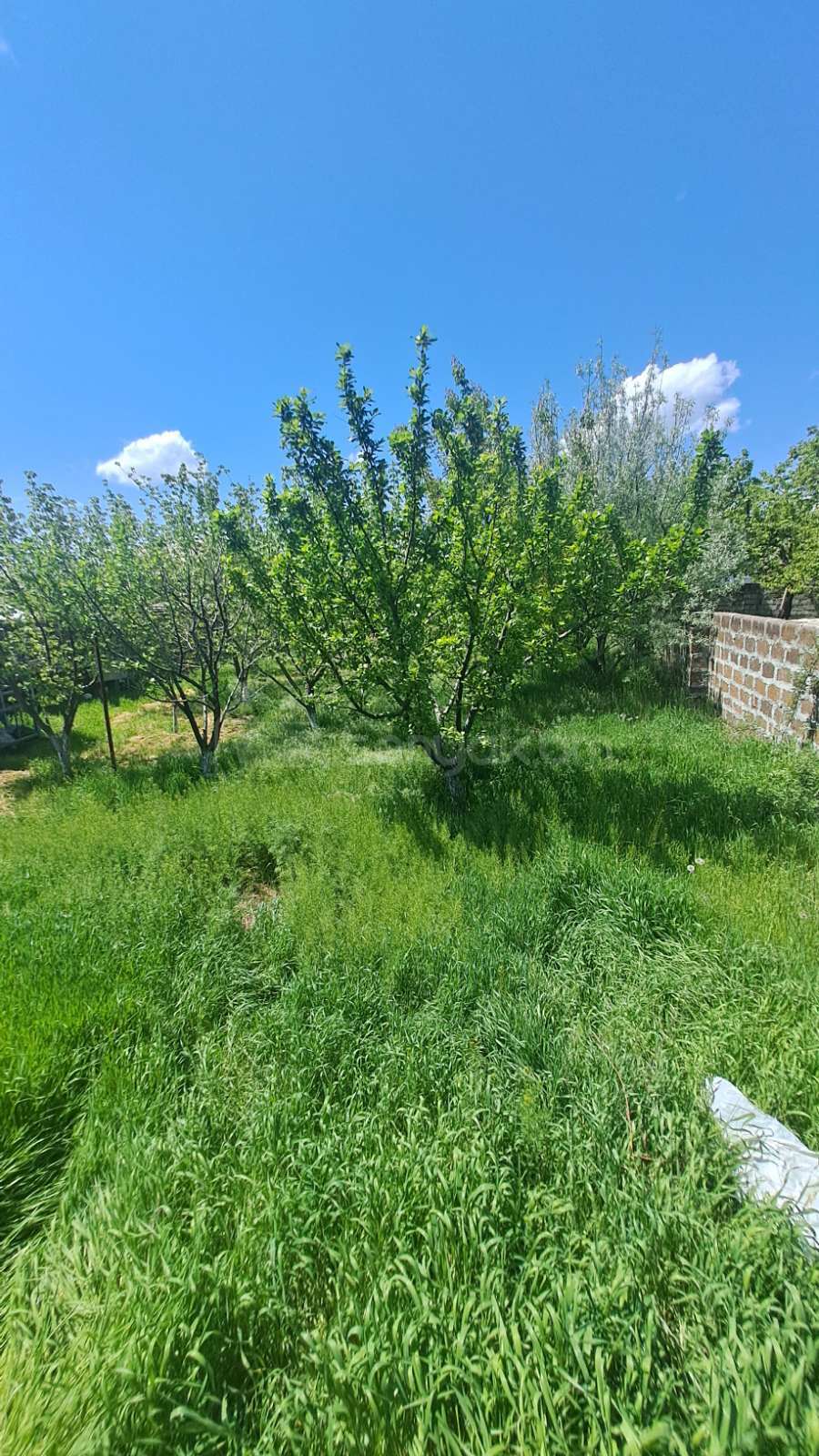 Բնակելի Նշանակության Հողատարածք, 1100քմ, Խմելու Ջրով, Էլեկտրականությամբ, Պարսպապատ