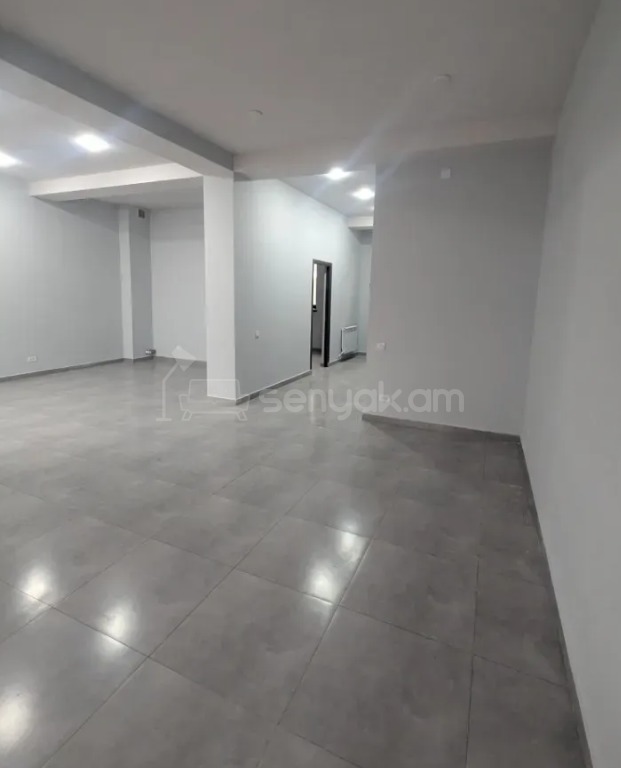 Նորակառույց Օֆիսային Տարածք, 237քմ