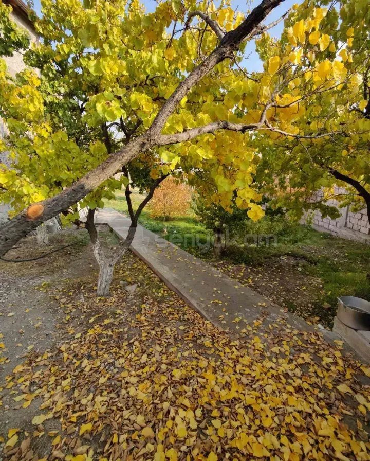 5 Սենյականոց Սեփական Տուն, 176քմ, Կապիտալ Վերանորոգված, Ավտոտնակով