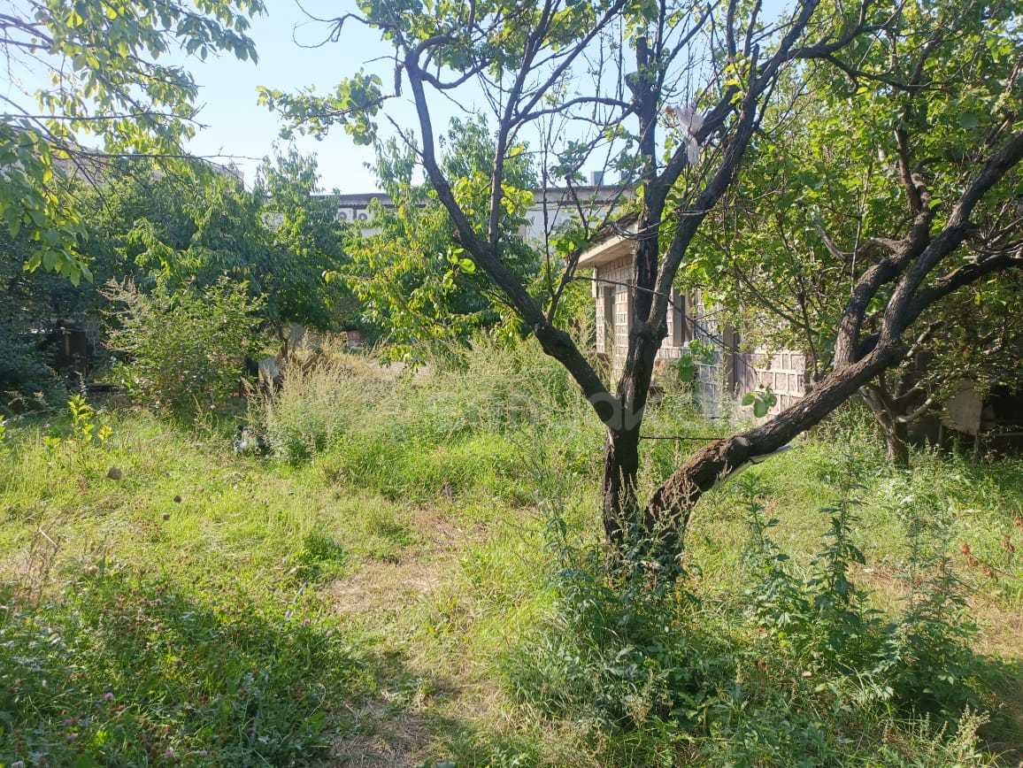 Կոմերցիոն Հողատարածք, 1470քմ, Ոռոգման Ջրով, Էլեկտրականությամբ