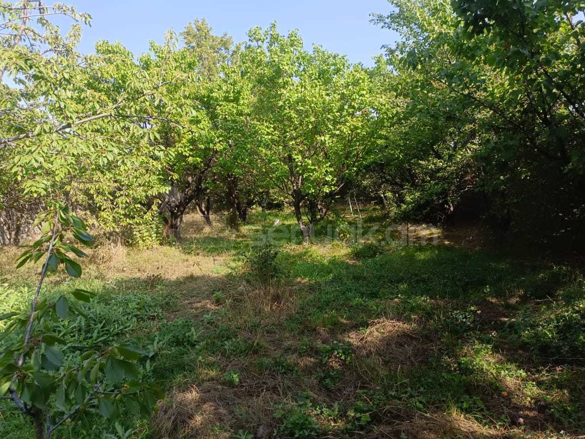 Կոմերցիոն Հողատարածք, 1470քմ, Ոռոգման Ջրով, Էլեկտրականությամբ