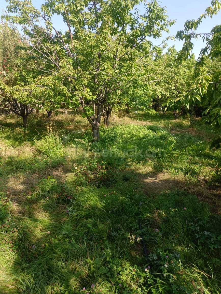 Կոմերցիոն Հողատարածք, 1470քմ, Ոռոգման Ջրով, Էլեկտրականությամբ