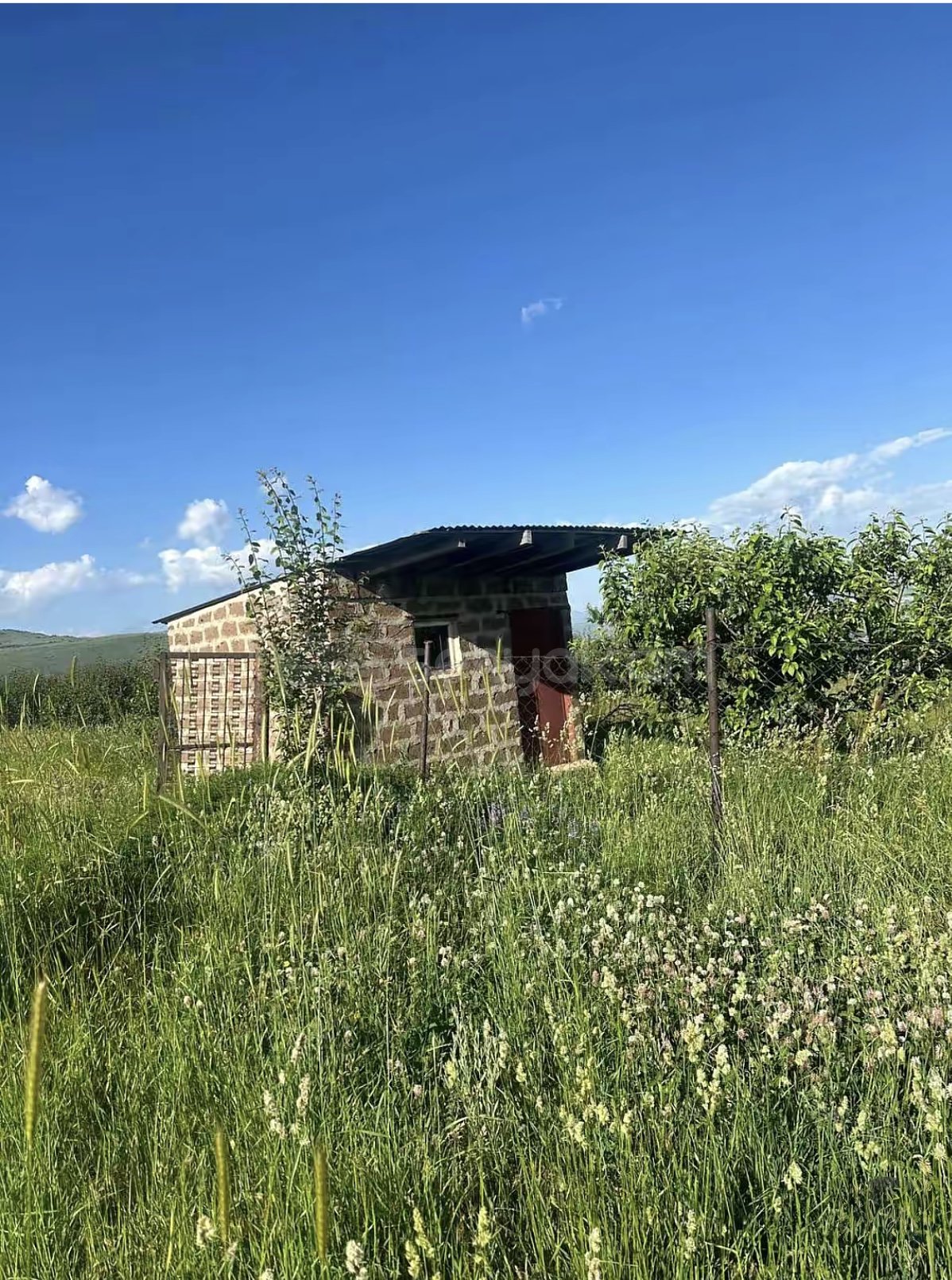 Այգի, 9000քմ, Ոռոգման Ջրով, Էլեկտրականությամբ, Ցանկապատված