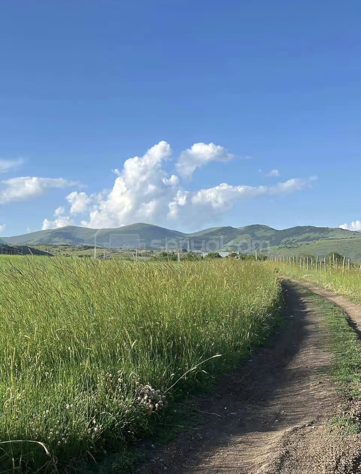 Այգի, 9000քմ, Ոռոգման Ջրով, Էլեկտրականությամբ, Ցանկապատված