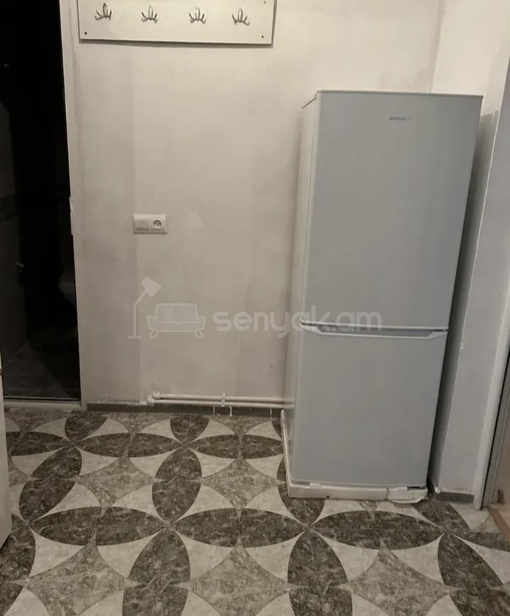 2 Սենյականոց Բնակարան Քարե Շենքում, 56քմ, 1/1 հարկ, Կապիտալ Վերանորոգված, Կահավորված, Արևկող