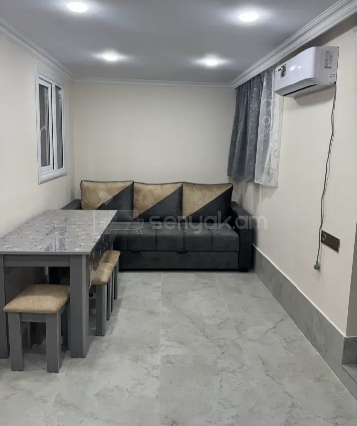 2 Սենյականոց Բնակարան Քարե Շենքում, 56քմ, 1/1 հարկ, Կապիտալ Վերանորոգված, Կահավորված