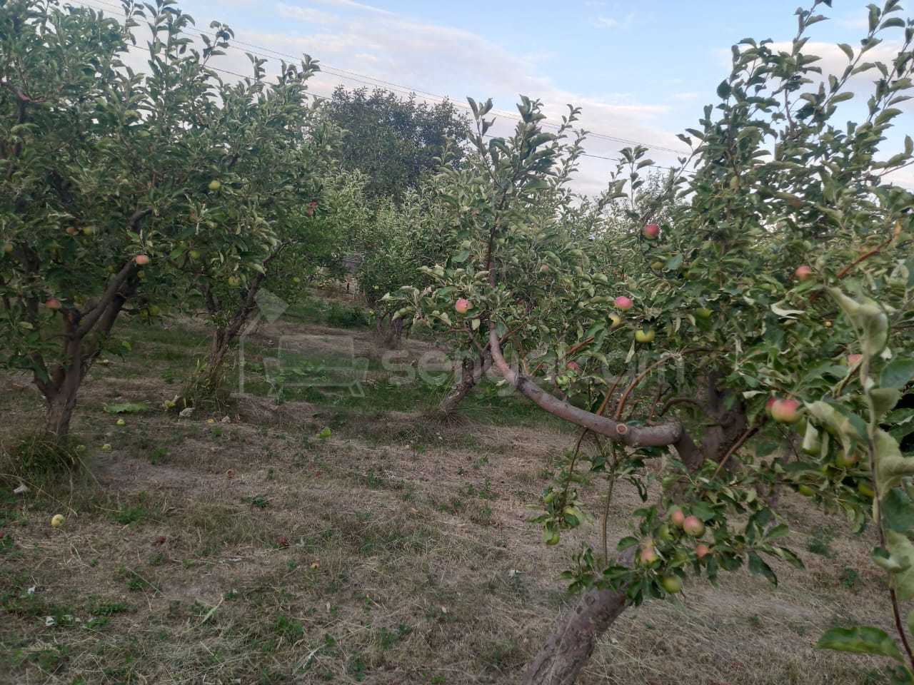 2 Սենյականոց Սեփական Տուն, 45քմ, Նորմալ Վիճակում