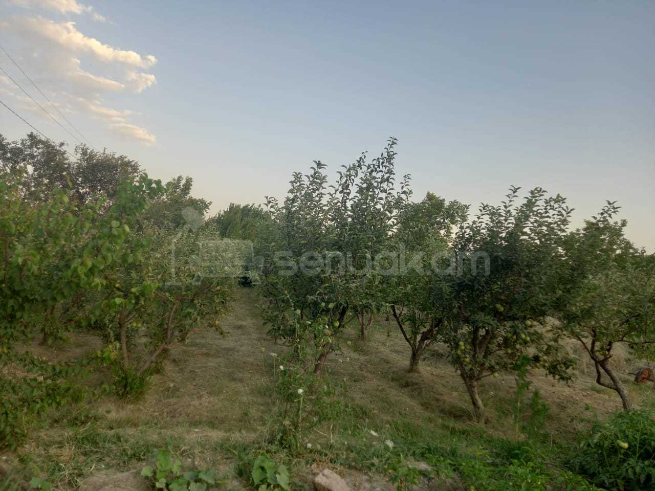 2 Սենյականոց Սեփական Տուն, 45քմ, Նորմալ Վիճակում