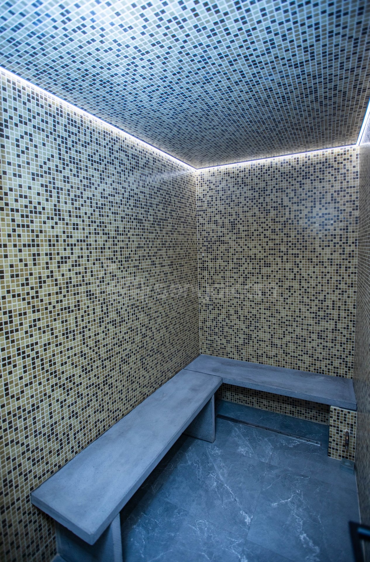 4 Սենյականոց Շքեղ Առանձնատուն, 170քմ, Լողավազանով