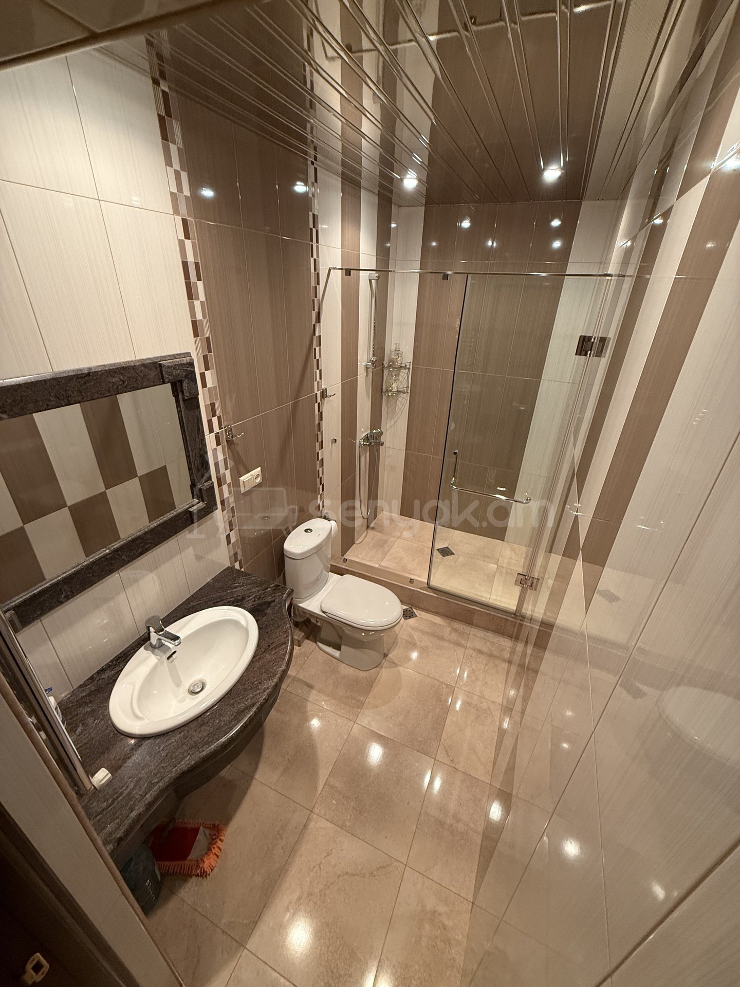 3 Սենյականոց Սեփական Տուն, 288քմ, Կապիտալ Վերանորոգված, Ավտոտնակով