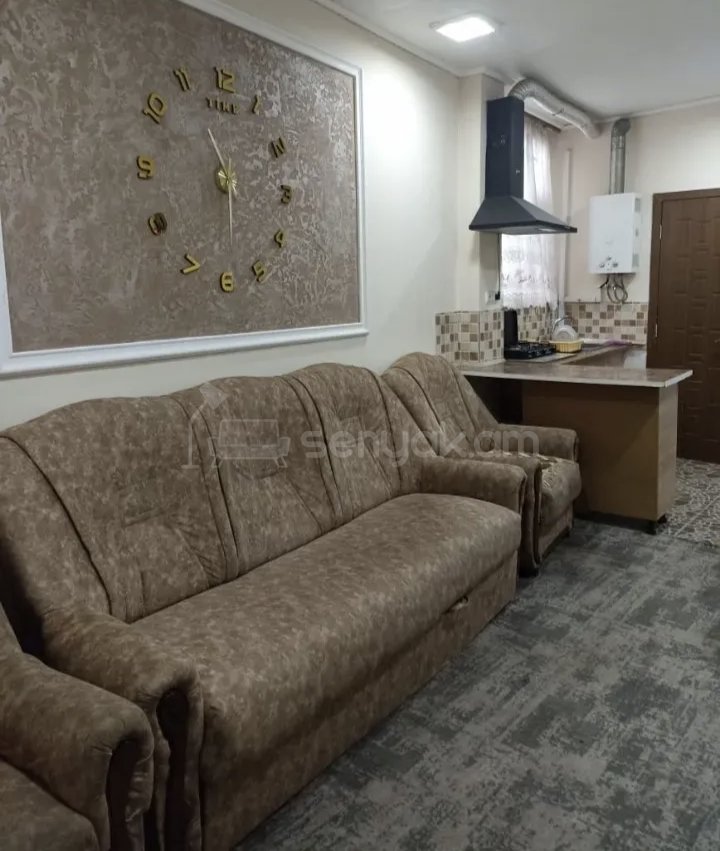 2 Սենյականոց Բնակարան Քարե Շենքում, 45քմ, 1/1 հարկ, Կապիտալ Վերանորոգված, Կահավորված