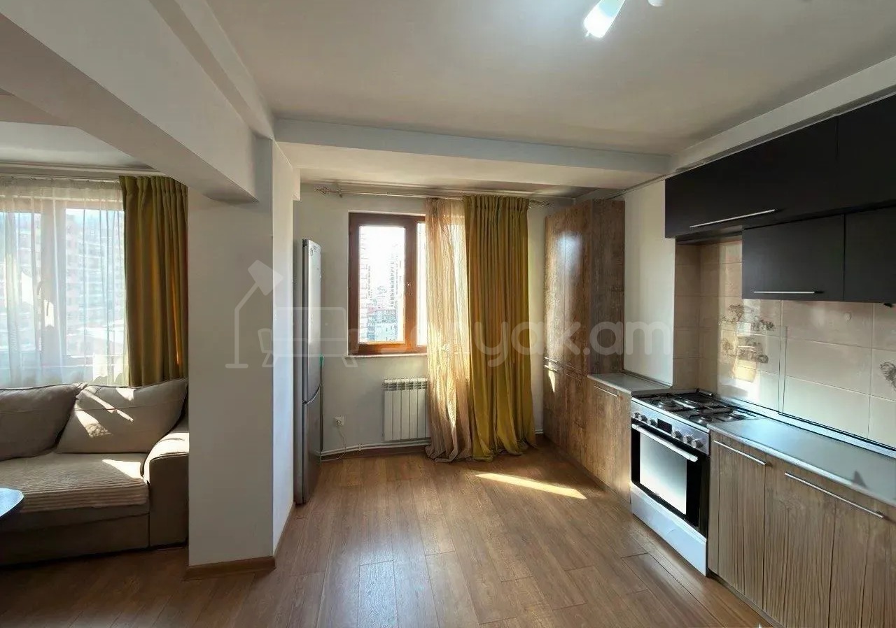1 Սենյականոց Բնակարան, 41քմ, 9/9 հարկ, Կապիտալ Վերանորոգված