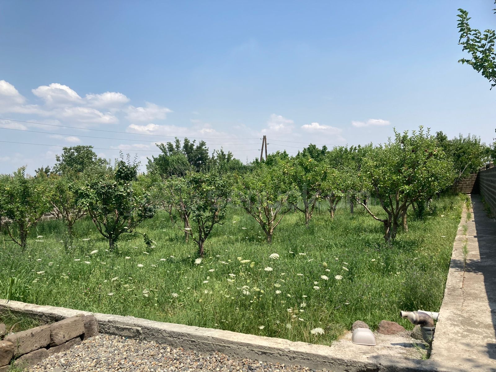 Բնակելի Նշանակության Հողատարածք, 250քմ, Խմելու Ջրով, Էլեկտրականությամբ