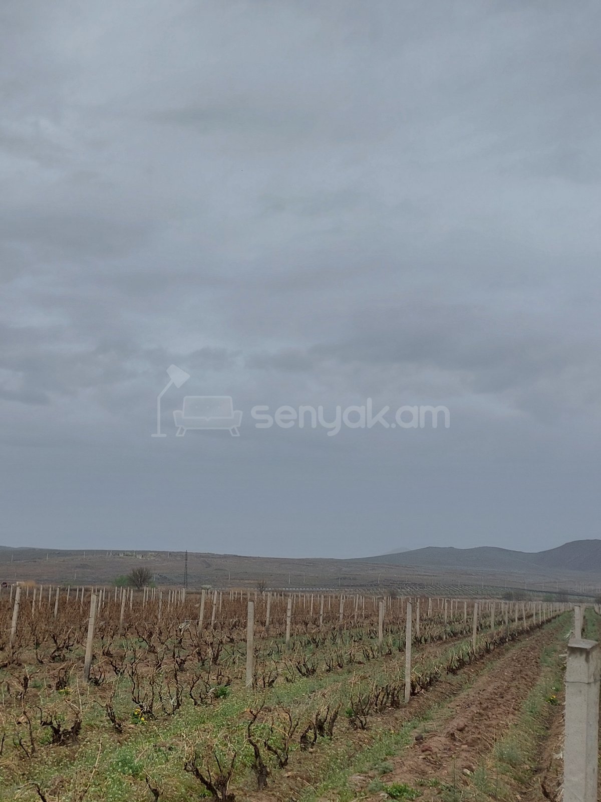 Հողամաս, 20000քմ, Ոռոգման Ջրով, Էլեկտրականությամբ