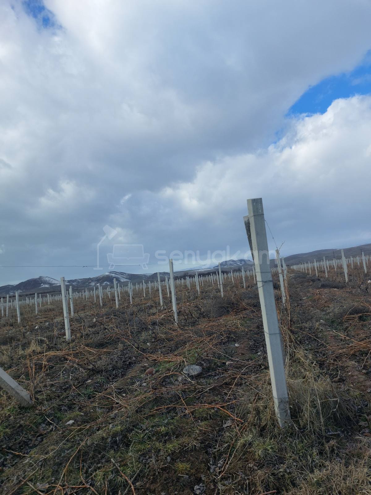 Հողամաս, 20000քմ, Ոռոգման Ջրով, Էլեկտրականությամբ