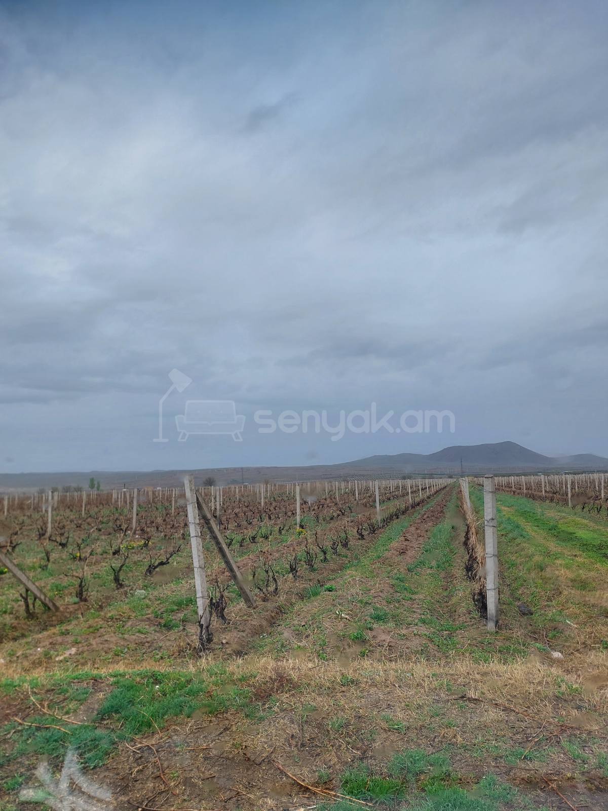 Հողամաս, 20000քմ, Ոռոգման Ջրով, Էլեկտրականությամբ