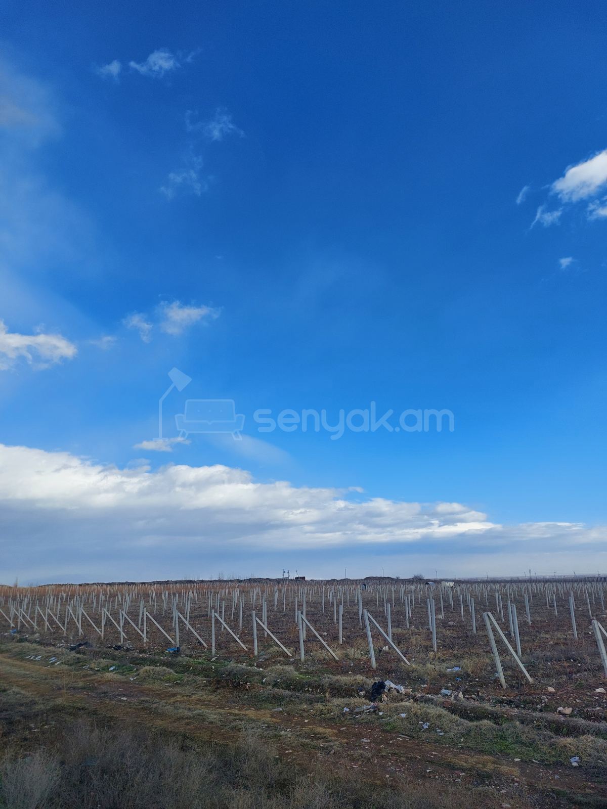 Հողամաս, 20000քմ, Ոռոգման Ջրով, Էլեկտրականությամբ