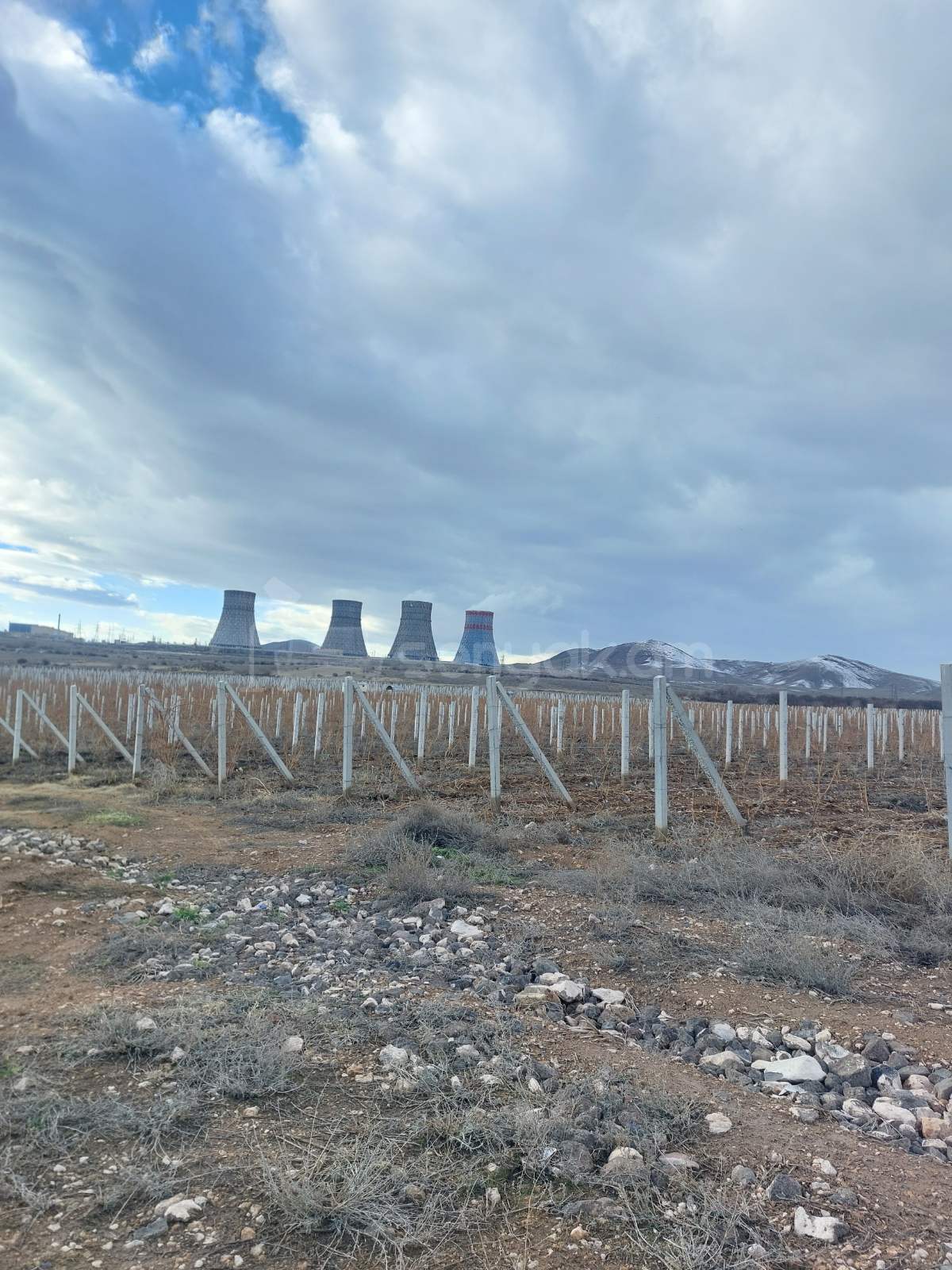 Հողամաս, 20000քմ, Ոռոգման Ջրով, Էլեկտրականությամբ